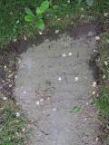 image of grave number 365103